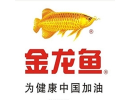 金龍魚(yú)